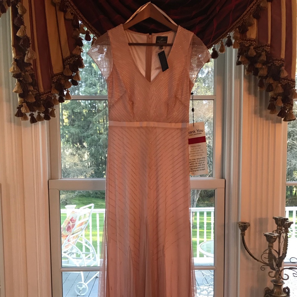 Adrianna Papell Cap Sleeve V-Neck Blush Gown